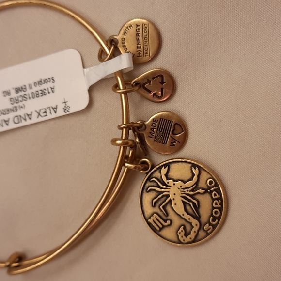 Alex and Ani Scorpio Zodiac Bracelet - Picture 6 of 9